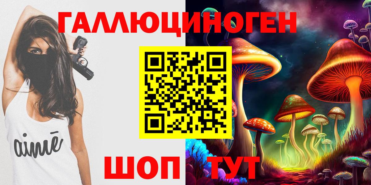 Псилоцибиновые грибы Psilocybine cubensis Таганрог