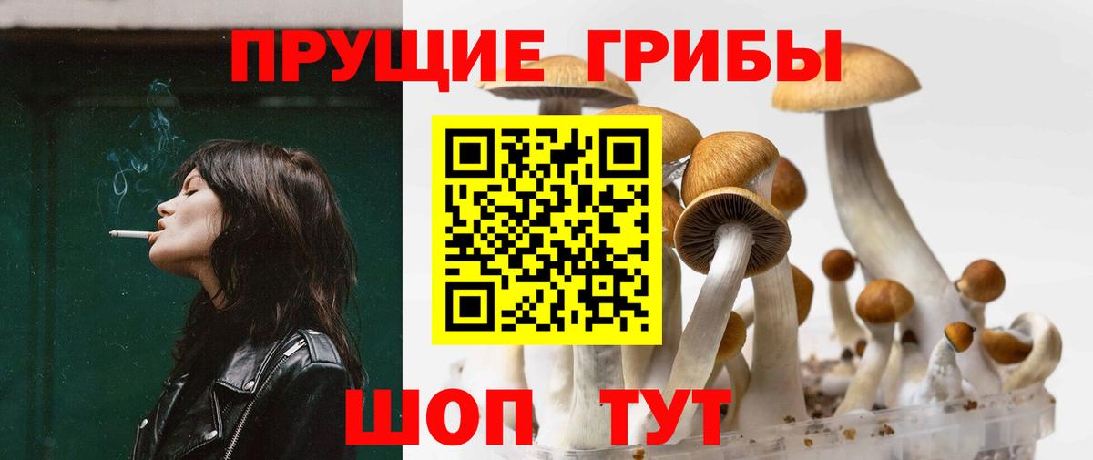 Таганрог  Псилоцибиновые грибы Psilocybe  Галлюциногенные грибы Psilocybine cubensis  Вход с VPN 